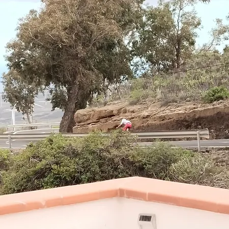 Eucaliptos Сasa de vacaciones *