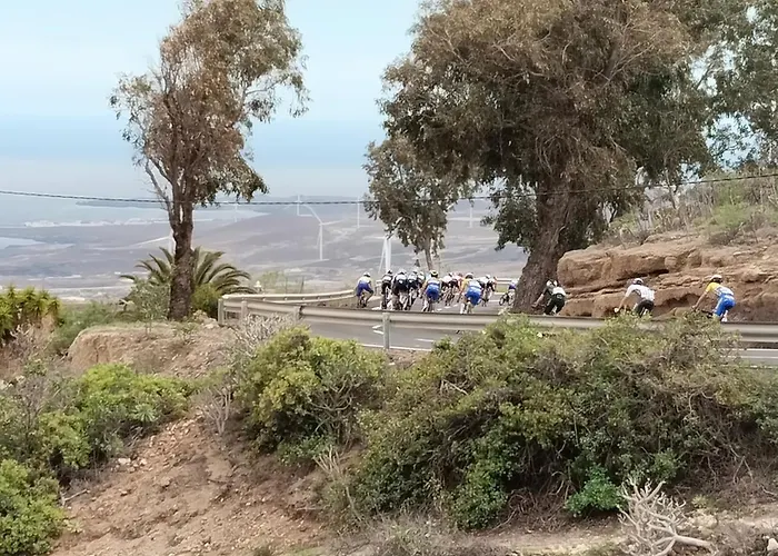 度假居 Eucaliptos Fasnia