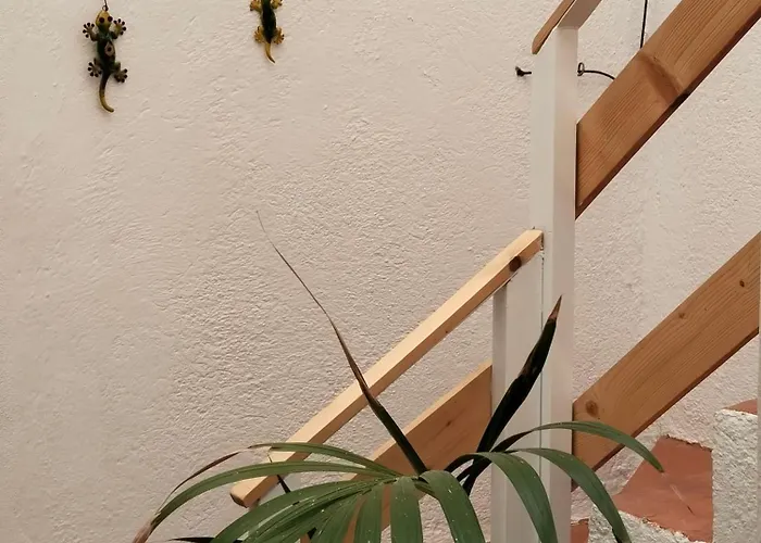 Eucaliptos 度假居 *