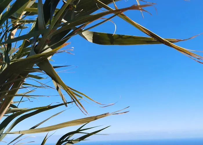 Eucaliptos 度假居 Fasnia