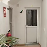 Nyaraló Eucaliptos Fasnia
