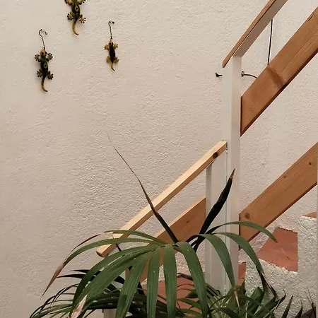 Eucaliptos Casa de Férias *