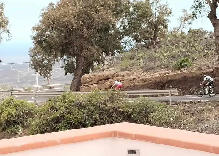 Eucaliptos Nyaraló *