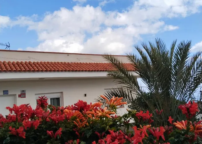 Tatil Evi Eucaliptos