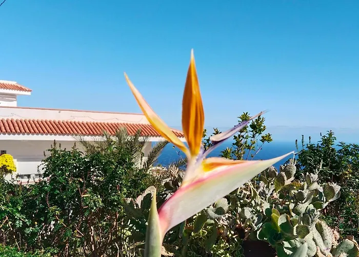 Eucaliptos Tatil Evi Fasnia