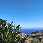 Eucaliptos