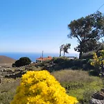 Eucaliptos