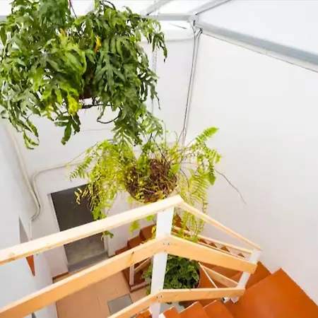 Eucaliptos Holiday home Fasnia